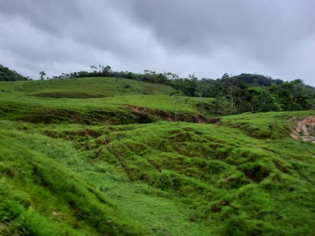 #159 - Fazenda para Venda em Tijucas - SC - 3