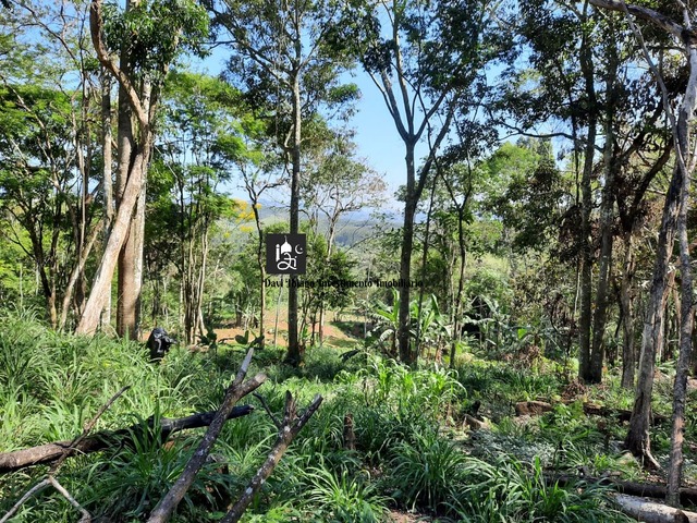 #172 - Fazenda para Venda em Tijucas - SC - 3